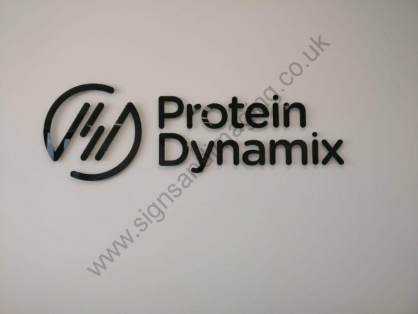 Protein Dynamics Rochester-2