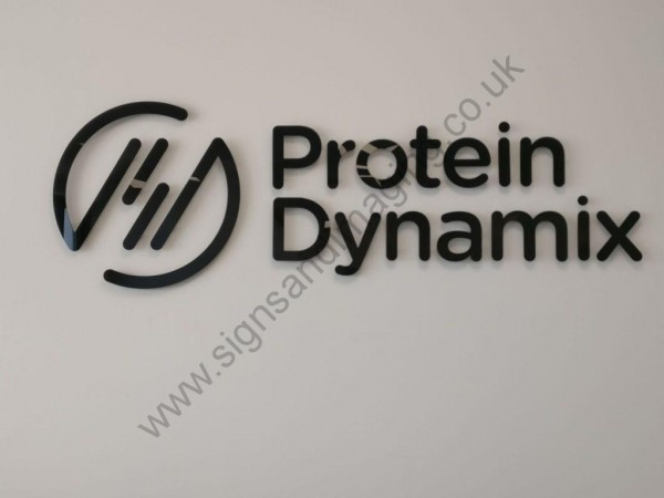 Protein Dynamics Rochester-6