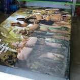 Printed Banners various (6)