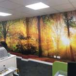 printed-wallpaper printed-wallpaper